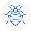 Bed Bug Extermination In New Malden