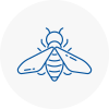 Bee Nest Removal New Malden