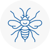 New Malden Hornet Nest Removals