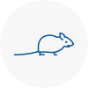 Mice Exterminators In New Malden