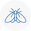 Moth Control Specialists In New Malden