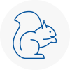 New Malden Rodent Removals